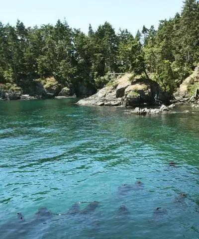 Vancouver Island Outdoorparadies