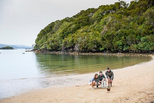 Stewart Island Südinsel Neuseeland