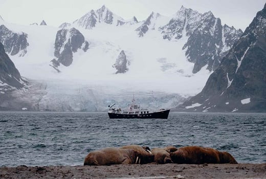 Expeditionskreuzfahrt in die Arktis