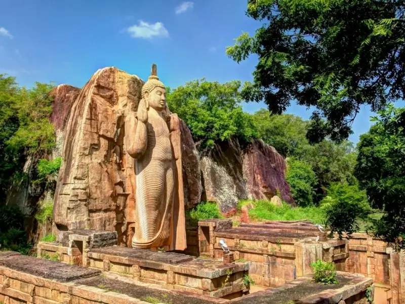 Individualreise Asien: Avukana Buddha Statuen in Sri Lanka