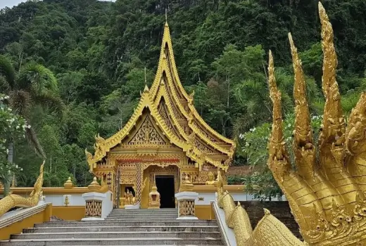 Tempel wunderschön im Dschungel gelegen in Krabi